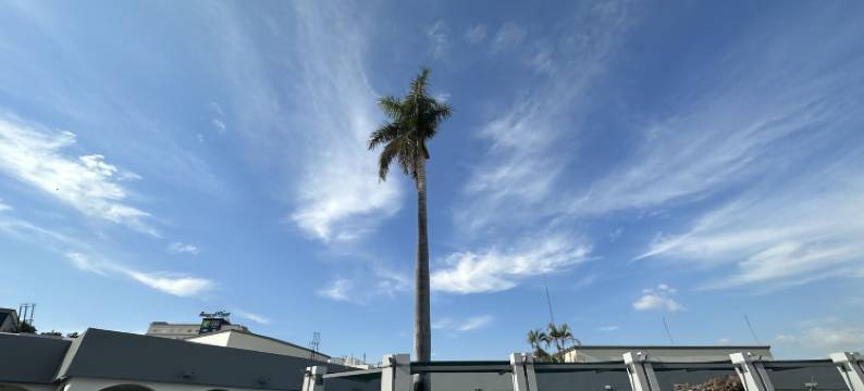 欧布雷贡城英豪酒店(InHouse Obregón)图片