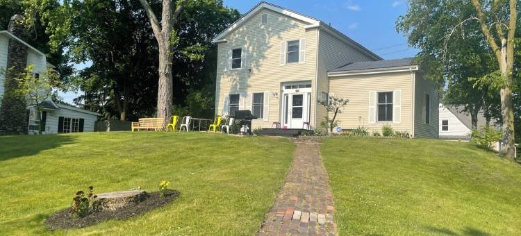 Gingers Tuscan Sunflower图片