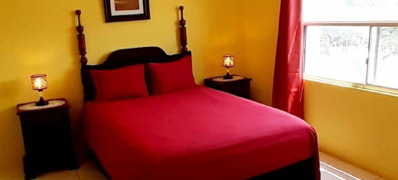 春季棕榈庄园(Spring Palm Estate)图片