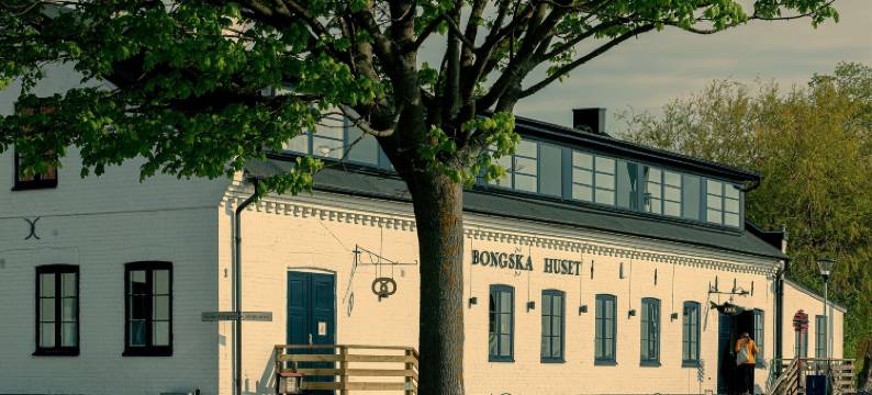 邦斯卡别墅(Bongska Huset)图片