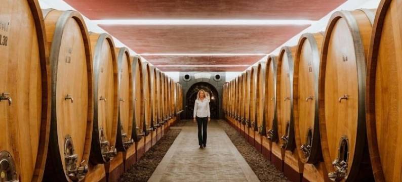 拉涅利宫酒店(Hotel Palazzo Renieri - 3Stelle S)图片