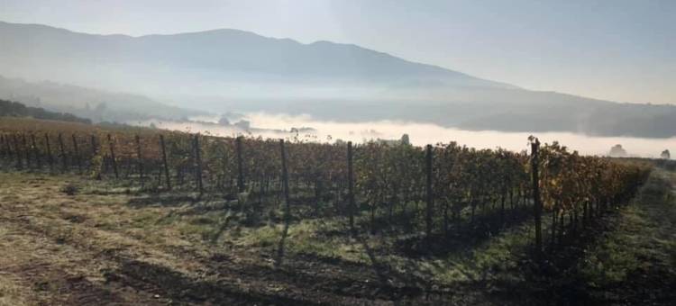 AZIENDA AGRICOLO IL POGGIOLINO图片