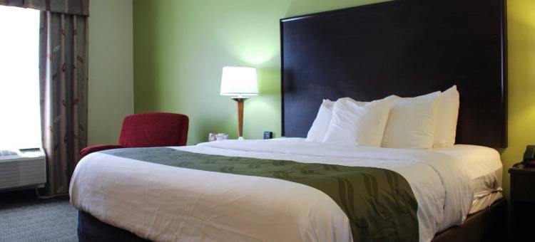 佛罗伦萨马斯尔肖尔斯凯艺酒店(Quality Inn Florence East)图片