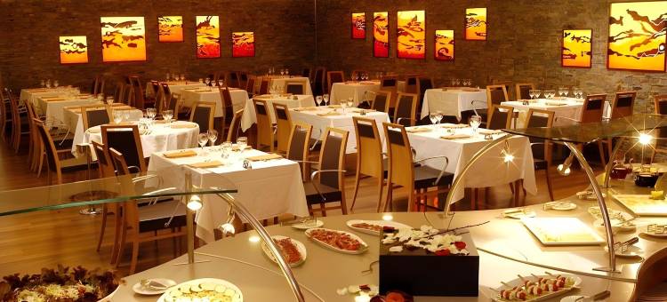 安道​​尔宫酒店(Andorra Palace)图片