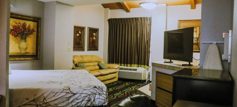 苹果树套房酒店(Apple Tree Inn)图片