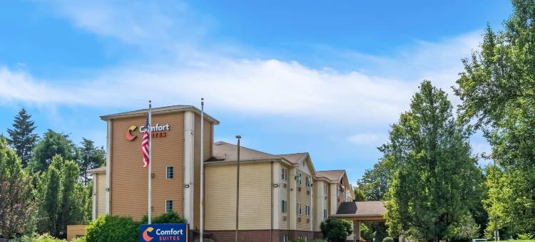 舒适套房酒店(Comfort Suites)图片