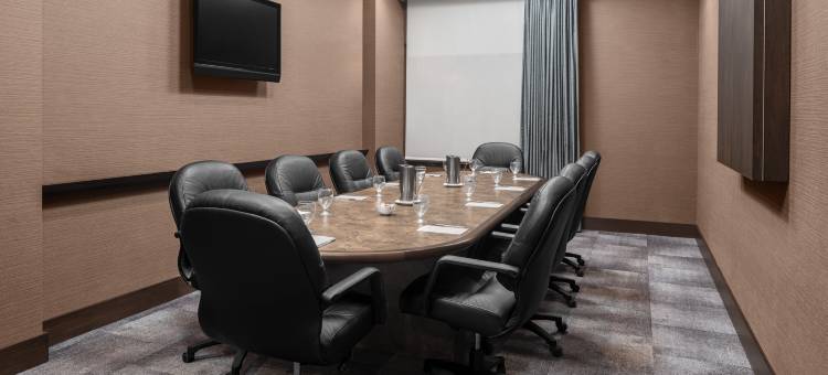 明尼阿波利斯市区希尔顿花园酒店(Hilton Garden Inn Minneapolis Downtown)图片