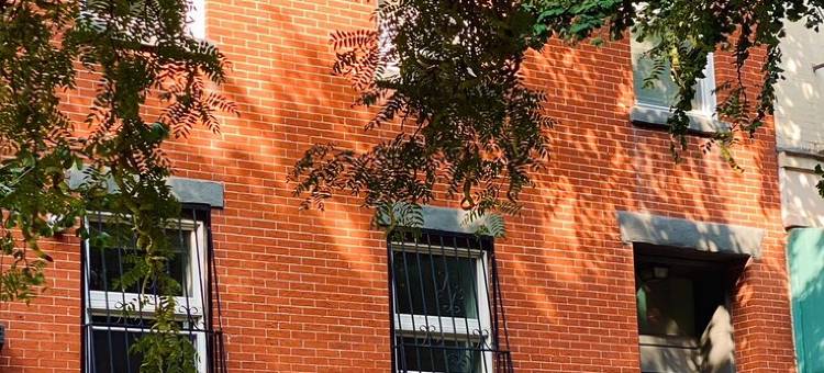 公园坡迷人一卧室公寓(Charming 1-bedroom apartment in Park Slope)图片