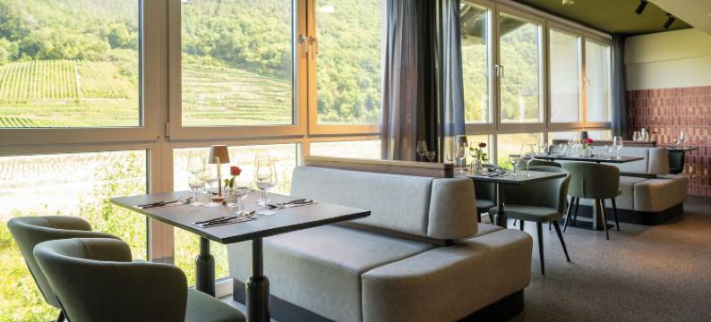 梅斯霍斯梅酒店(May Hotel Mayschoß)图片