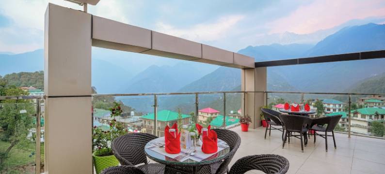 阿丽扎旅馆及套房(Aliza Inn and Suites)图片