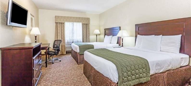 格兰德洲际酒店及套房(GRANDER INN & SUITES by IHG)图片