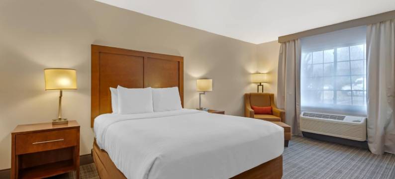 咆哮叉河卡本戴尔舒适套房酒店(Comfort Inn & Suites Carbondale on the Roaring Fork)图片