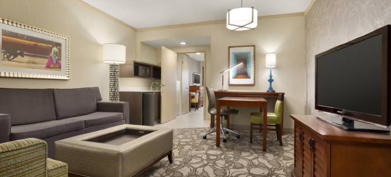 圣安东尼奥国际机场希尔顿安泊酒店(Embassy Suites by Hilton San Antonio Airport)图片