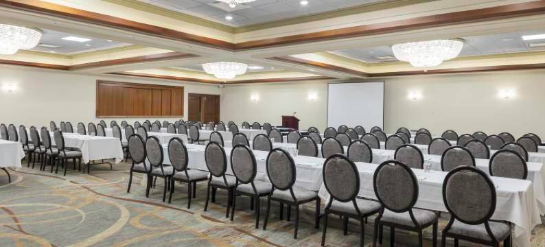 洲际酒店集团旗下芝加哥西南康提赛德假日酒店会议中心(Holiday Inn CHICAGO SW-COUNTRYSIDE CONFCTR by IHG)图片