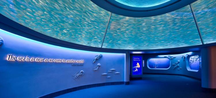 Holiday Inn Express MONTEREY，罐头厂街(Holiday Inn Express Monterey-Cannery Row)图片