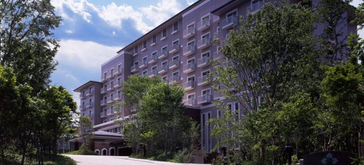 千叶科技园区大仓酒店(Okura Akademia Park Hotel)图片