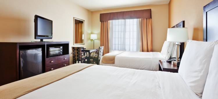 智选假日套房酒店克洛维斯(Holiday Inn Express & Suites Clovis)图片
