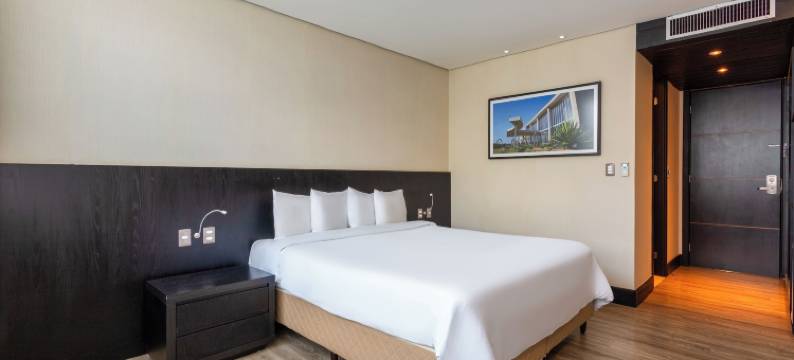 HOTEL CASSINO TOWER SAVASSI图片