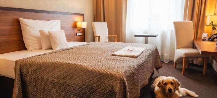 布拉迪斯拉发高级商务酒店(Premium Business Hotel Bratislava)图片