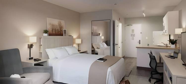 美国长住酒店套房 - 华盛顿特区 - 泰森斯角(Extended Stay America Suites - Washington, DC - Tysons Corner)图片