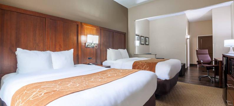 亚特兰大南部莫罗舒适套房酒店(Comfort Suites Morrow- Atlanta South)图片
