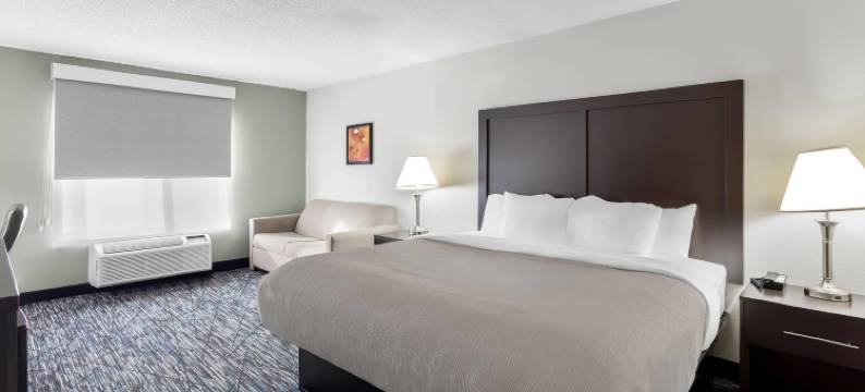 凯艺套房酒店(Quality Inn & Suites Niles)图片