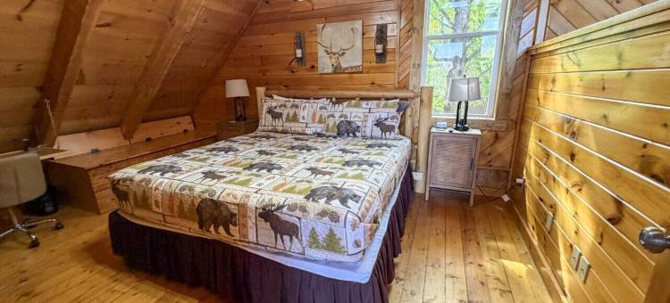 Boujee Bear- 现代化小木屋，距离多莉山主题公园仅数分钟(Mins to Dollywood Renovated Boujee Bear Cabin)图片