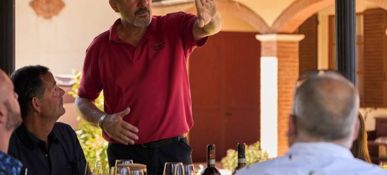 蒂贝里尼酒庄别墅(Villa Tiberini - Wine Relais)图片