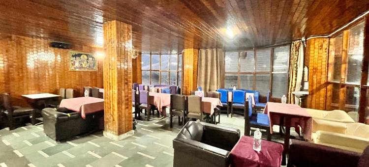 哈迪姆巴宫酒店(Hotel Hadimba Palace Manali)图片