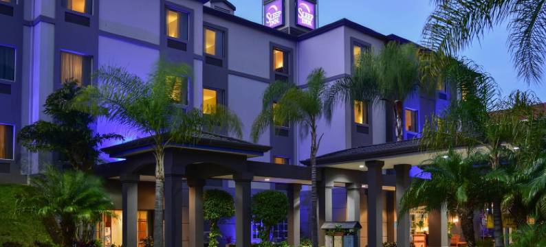 安眠酒店-圣何塞帕塞欧拉斯达马斯(Sleep Inn Hotel Paseo Las Damas)图片