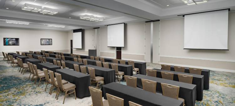 希尔顿旗下奥兰多布埃纳维斯塔湖度假村大使套房酒店(Embassy Suites by Hilton Orlando Lake Buena Vista Resort)图片