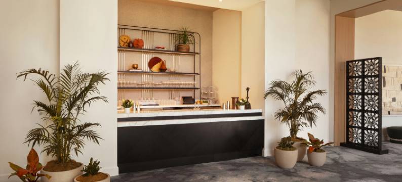 圣安东尼奥君主酒店，希尔顿Curio系列(The Monarch San Antonio, Curio Collection by Hilton)图片