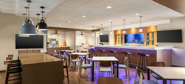 博尼塔斯普林斯万枫酒店及套房(Fairfield Inn & Suites Bonita Springs)图片