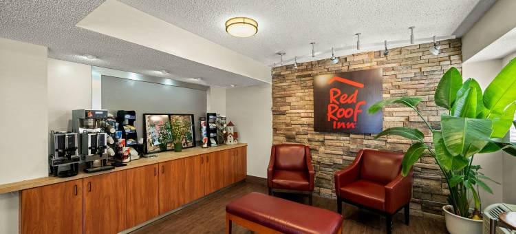 达拉斯DFW机场北红顶酒店(Red Roof Inn Dallas - DFW Airport North)图片