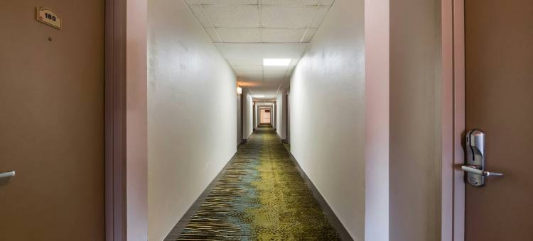纽华克大学红顶套房酒店(Red Roof Inn & Suites Newark - University)图片