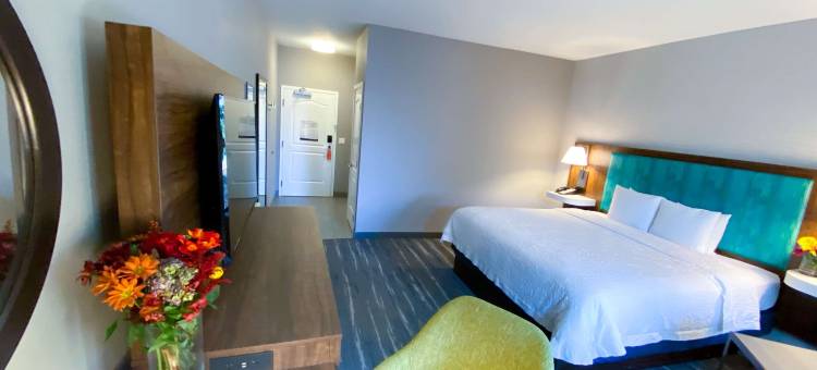 卡尔斯巴德北圣地亚哥县欢朋酒店(Hampton Inn Carlsbad-North San Diego County)图片