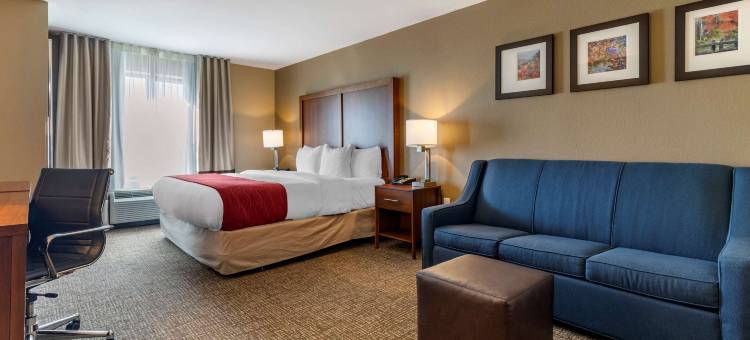 拉塞尔维尔I-40舒适套房酒店(Comfort Inn & Suites Russellville I-40)图片