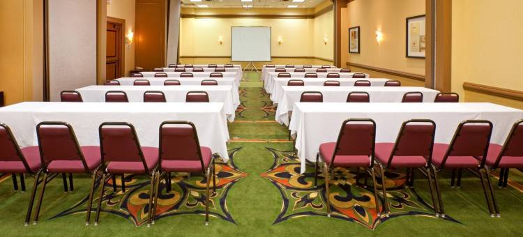 智选假日套房酒店欧文DFW机场北(Holiday Inn Express & Suites Irving DFW Airport North)图片