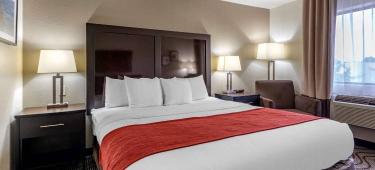 舒适套房酒店(Comfort Inn & Suites)图片