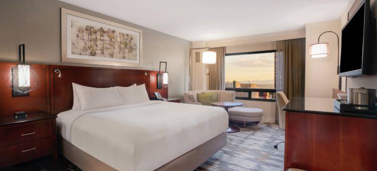 丹佛市中心希尔顿酒店(Hilton Denver City Center)图片