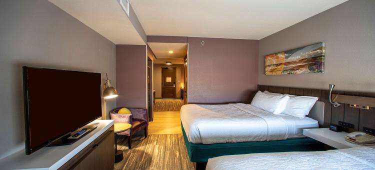 拉皮德城希尔顿花园酒店(Hilton Garden Inn Rapid City)图片