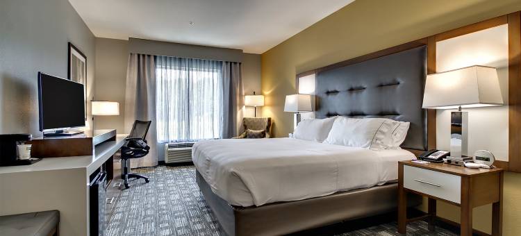智选假日套房酒店奥尔巴尼(Holiday Inn Express & Suites Albany)图片