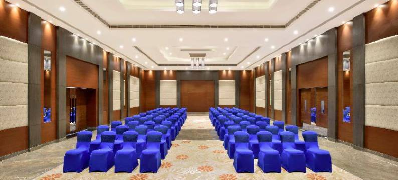 浦那辛吉瓦蒂丽笙酒店(Radisson Blu Pune Hinjawadi)图片