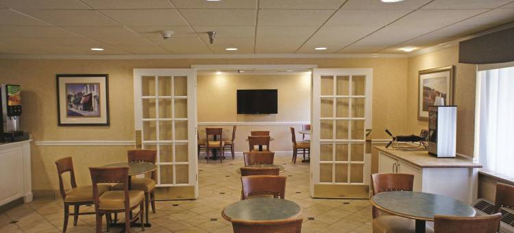 坦帕展览会场 拉昆塔温德姆套房酒店(La Quinta Inn & Suites by Wyndham Tampa Fairgrounds - Casino)图片