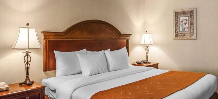 舒适套房酒店(Comfort Suites)图片