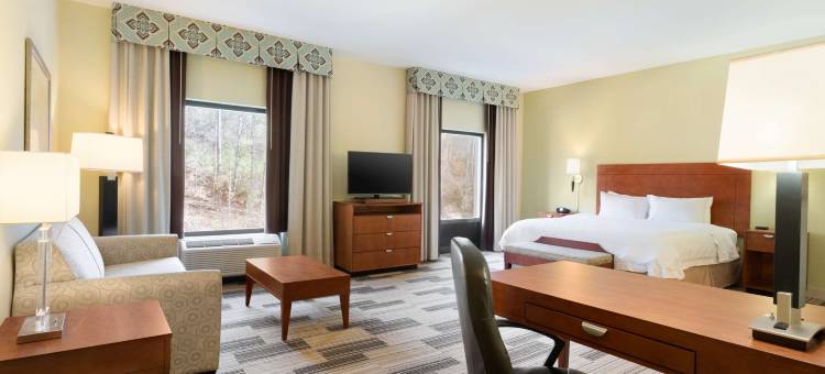 伯明翰-东艾恩戴尔欢朋套房酒店(Hampton Inn & Suites Birmingham East Irondale)图片