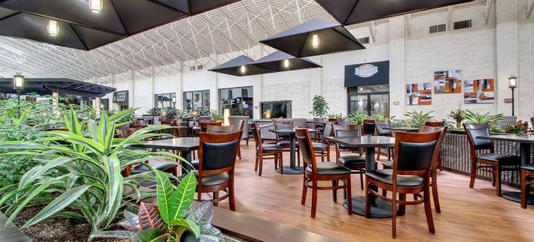 昆西希尔顿逸林酒店(Doubletree by Hilton Quincy)图片