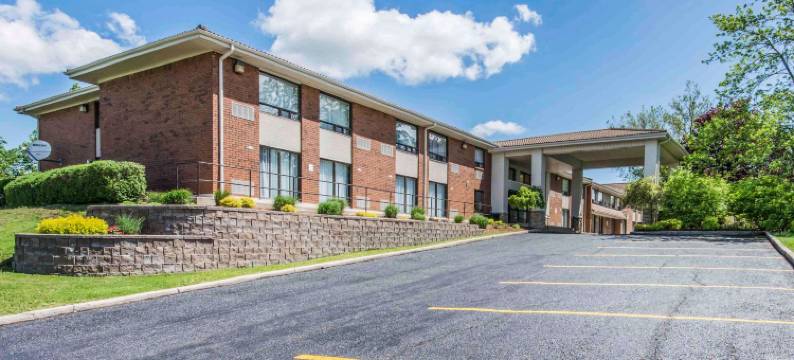 舒适酒店(Comfort Inn)图片