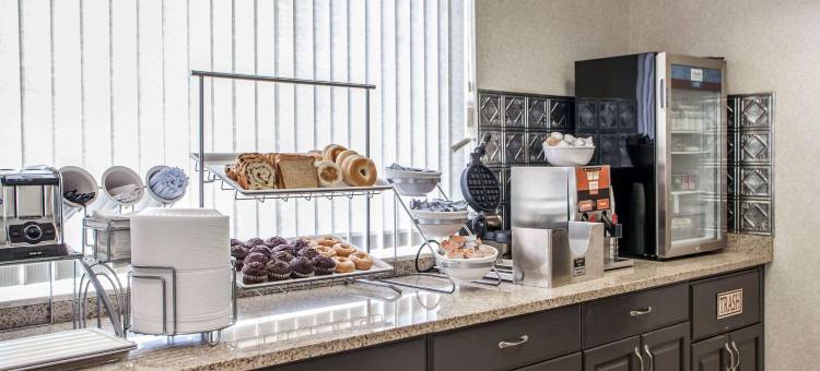 皮奥里亚I-74舒适套房酒店(Comfort Suites Peoria I-74)图片