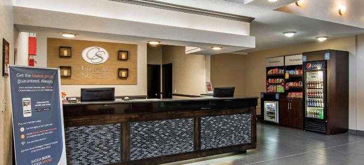 温哥华购物中心附近舒适套房酒店(Comfort Suites Near Vancouver Mall)图片